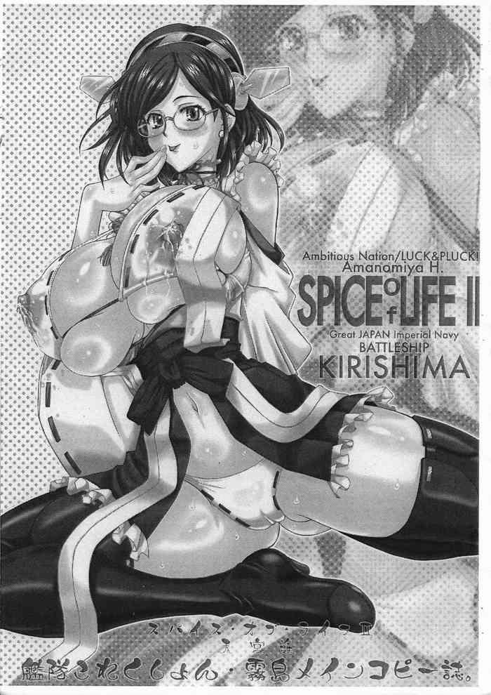 spice of life ii cover