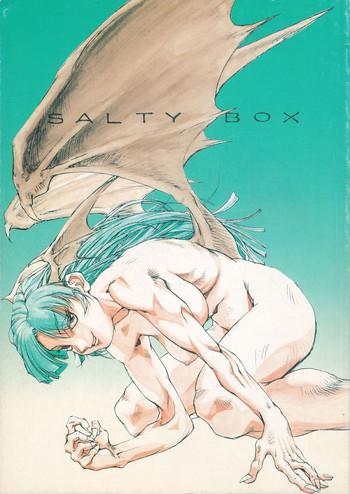 salty box cover