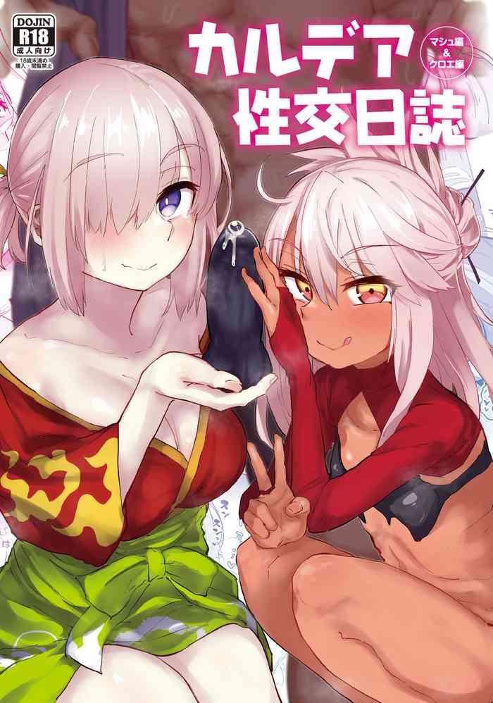 chaldea seikou nisshi chloe hen mash hen cover